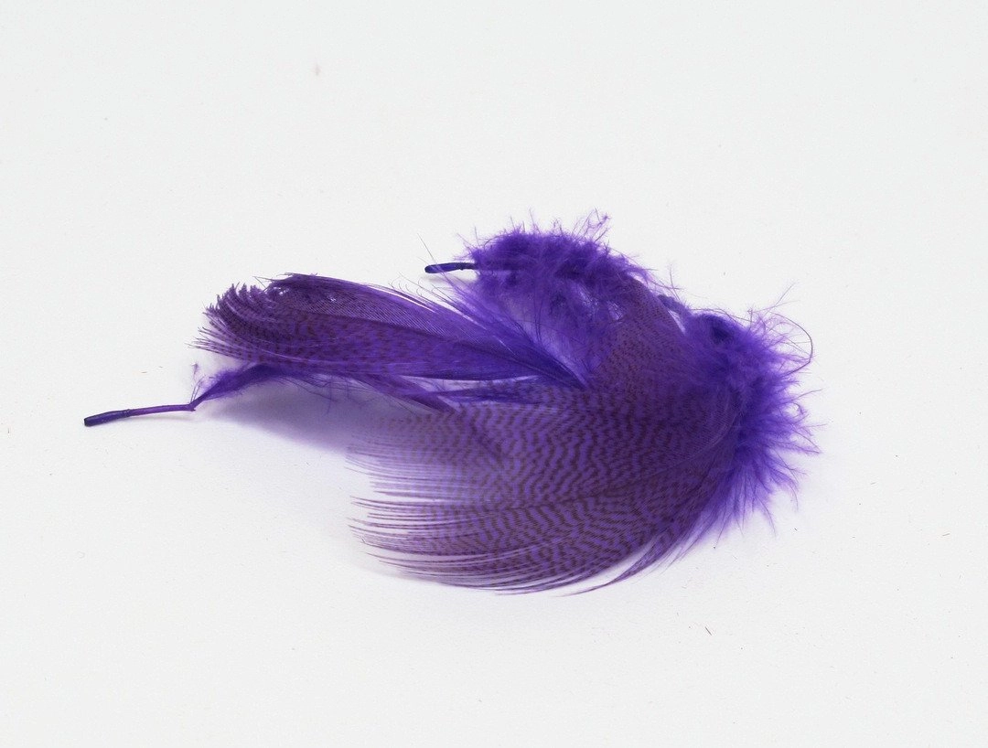 Nature's Spirit Mallard Flank