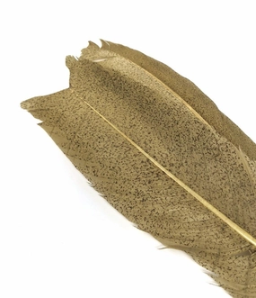 Nature's Spirit Micro Mottled Turkey Wing Quills