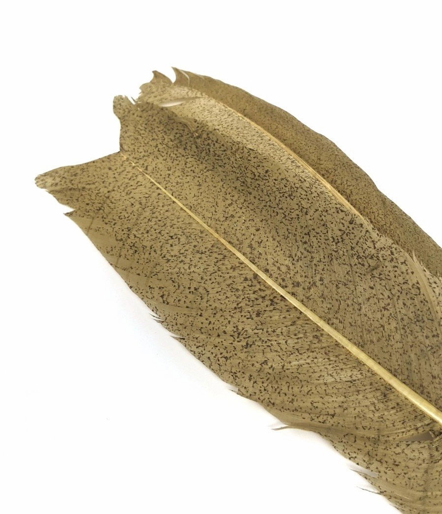 Nature's Spirit Micro Mottled Turkey Wing Quills