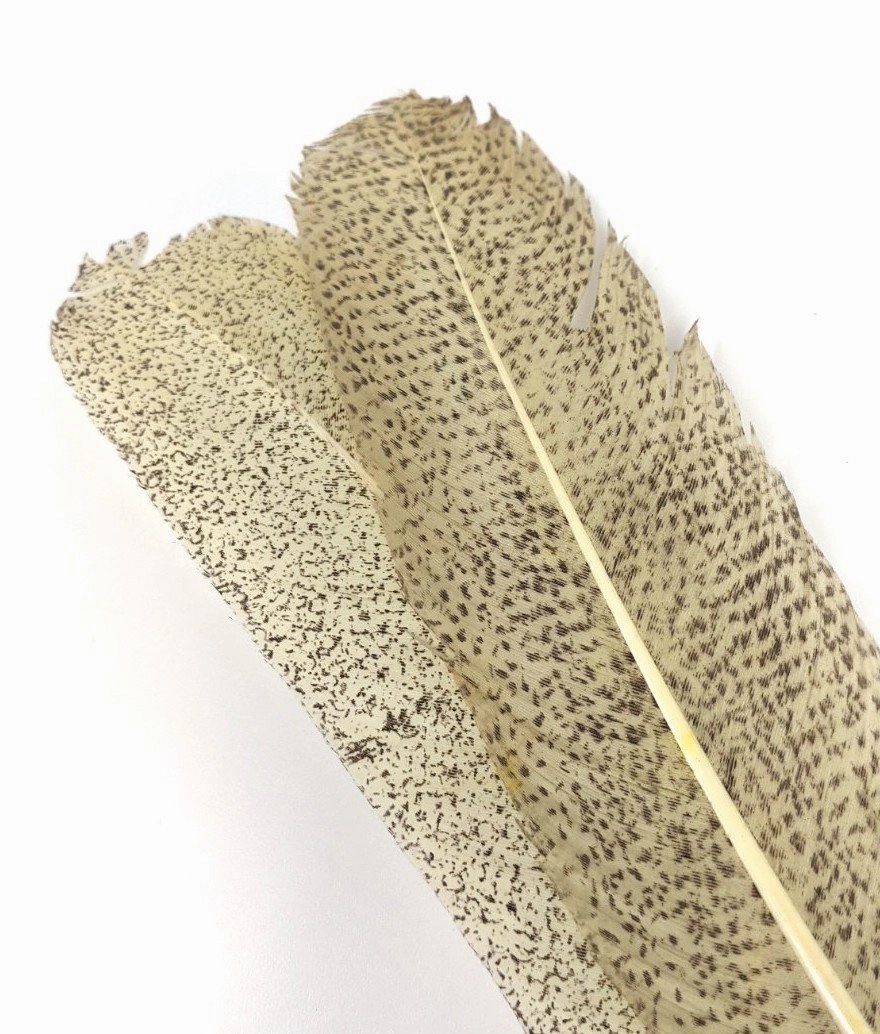 Nature's Spirit Micro Mottled Turkey Wing Quills