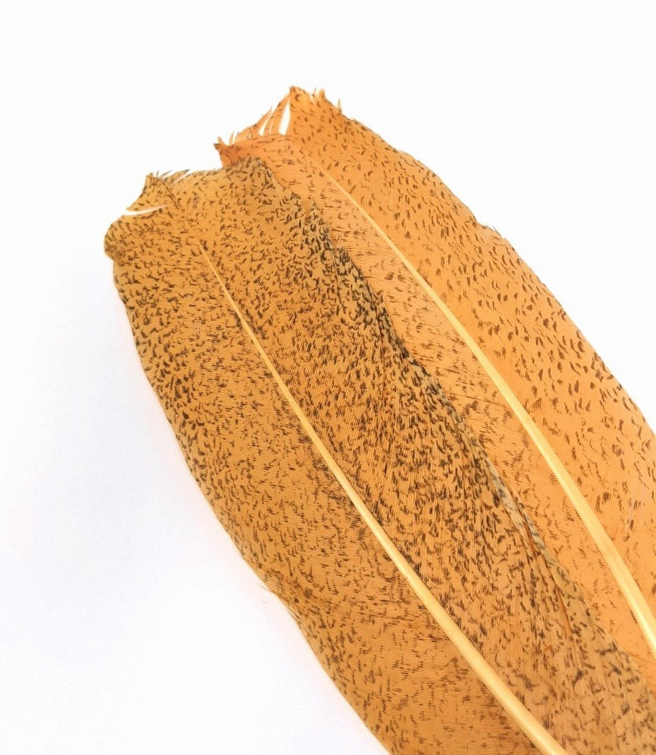 Nature's Spirit Micro Mottled Turkey Wing Quills