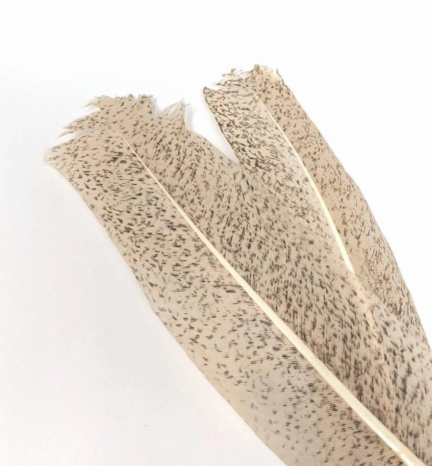 Nature's Spirit Micro Mottled Turkey Wing Quills