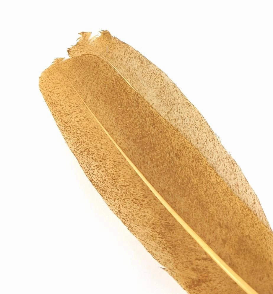 Nature's Spirit Micro Mottled Turkey Wing Quills