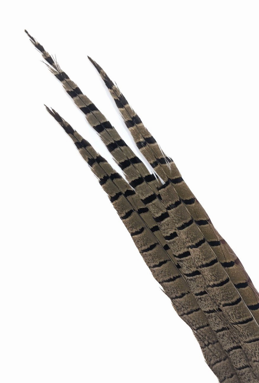 Nature's Spirit Ringneck Pheasant Side Tails - 3 tails - 12" to 14"