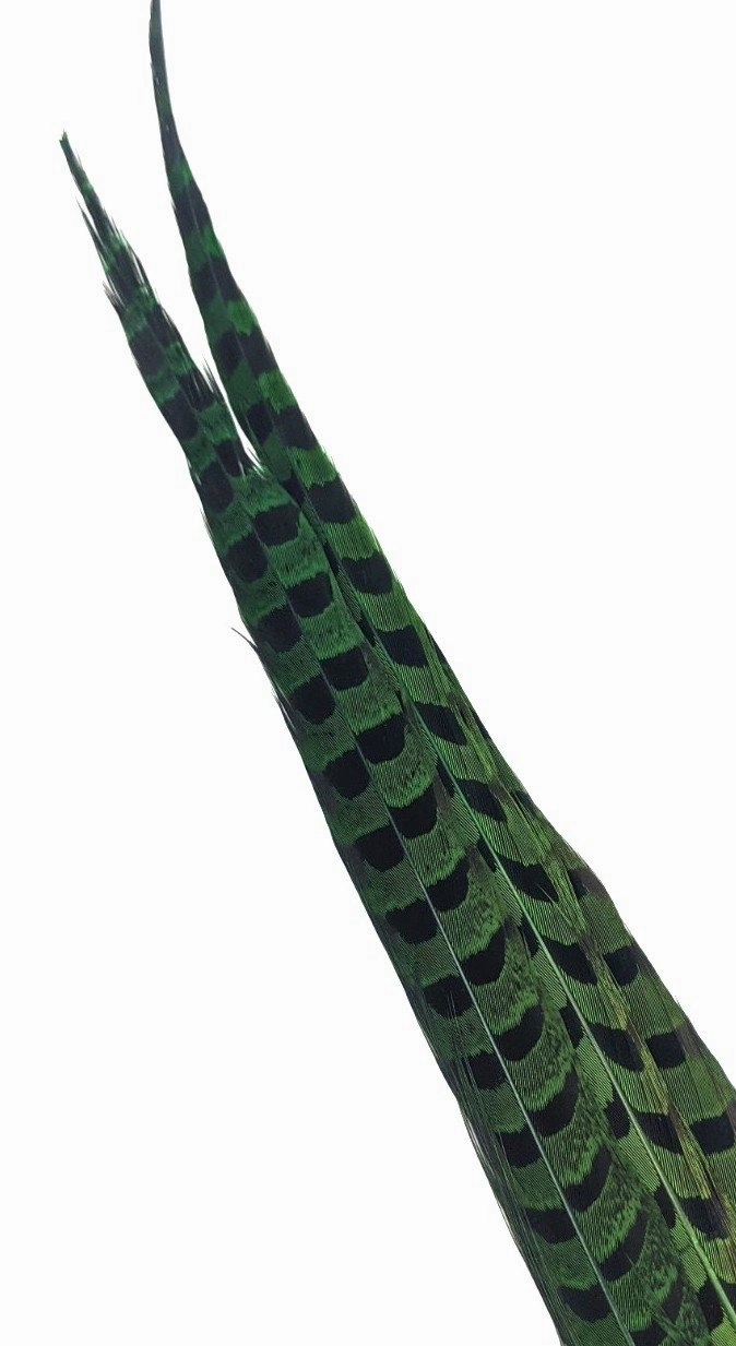 Nature's Spirit Ringneck Pheasant Side Tails - 3 tails - 12" to 14"