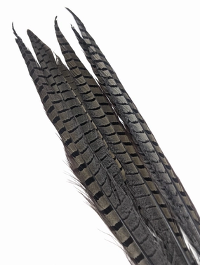 Nature's Spirit Ringneck Pheasant Side Tails - 3 tails - 12" to 14"