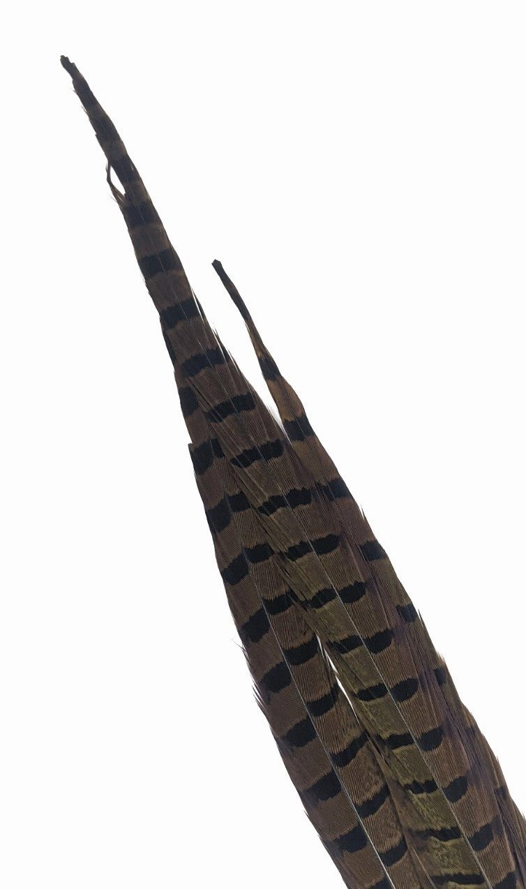 Nature's Spirit Ringneck Pheasant Side Tails - 3 tails - 12" to 14"
