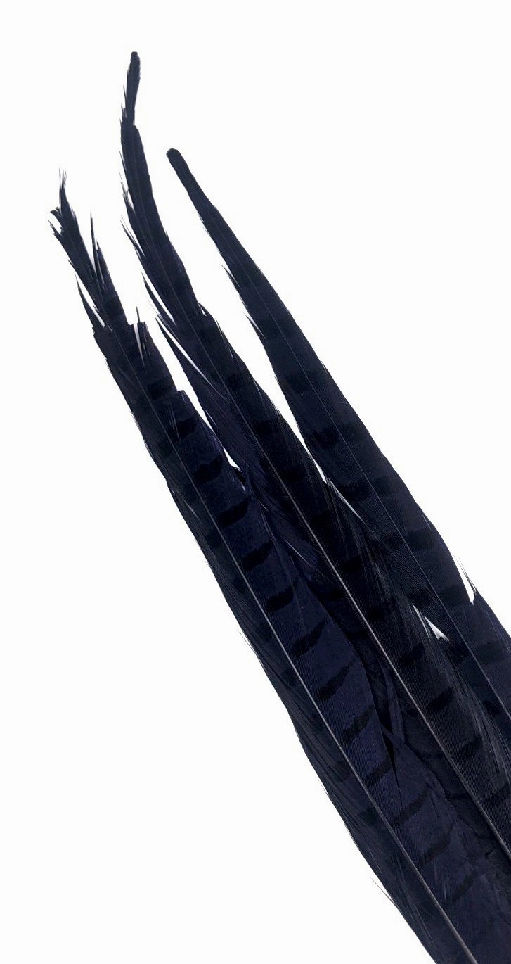 Nature's Spirit Ringneck Pheasant Side Tails - 3 tails - 12" to 14"