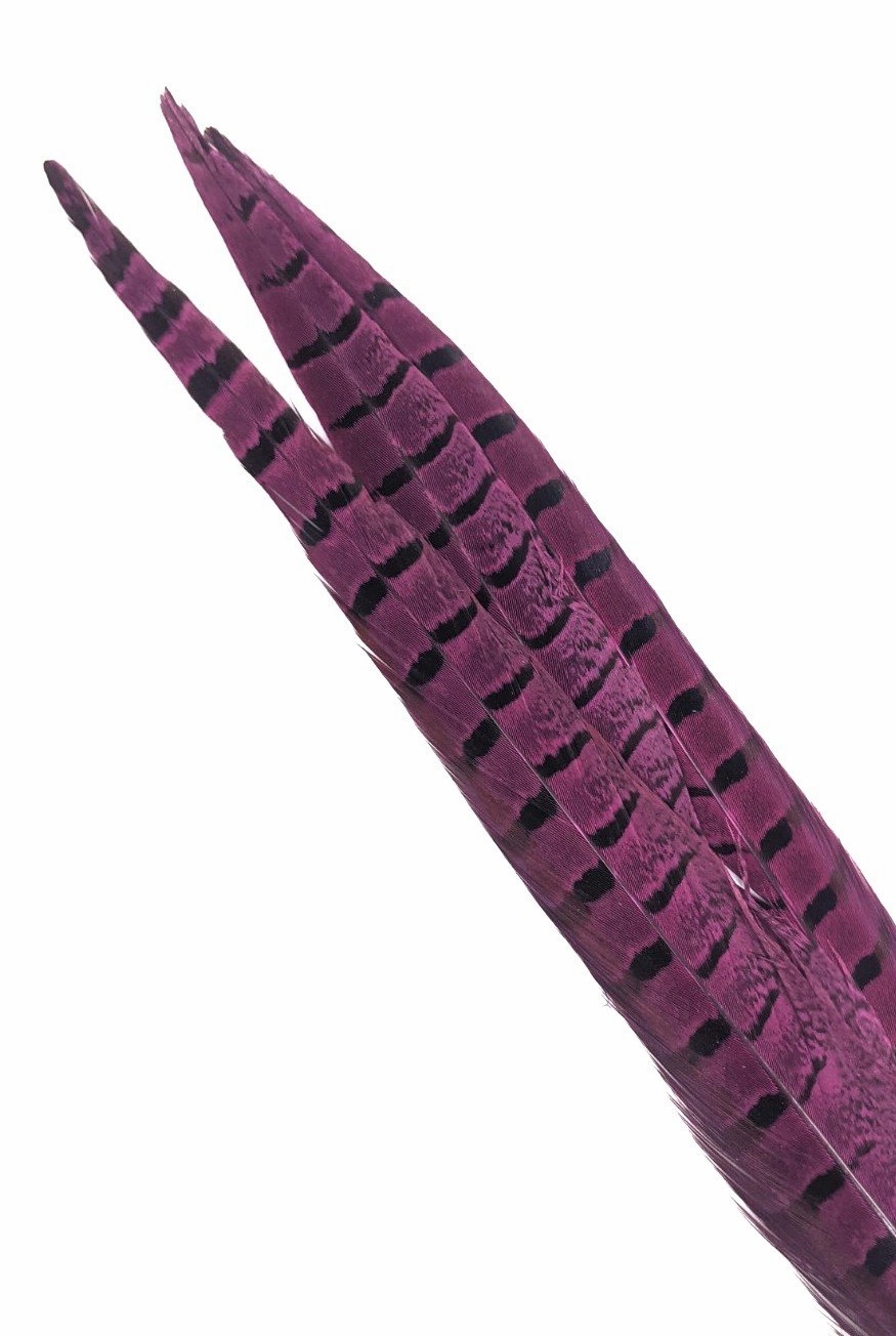 Nature's Spirit Ringneck Pheasant Side Tails - 3 tails - 12" to 14"