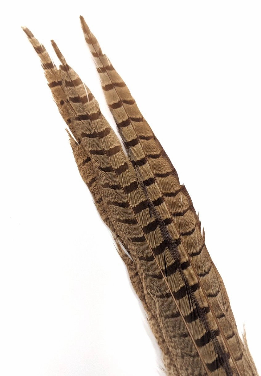 Nature's Spirit Ringneck Pheasant Side Tails - 3 tails - 12" to 14"