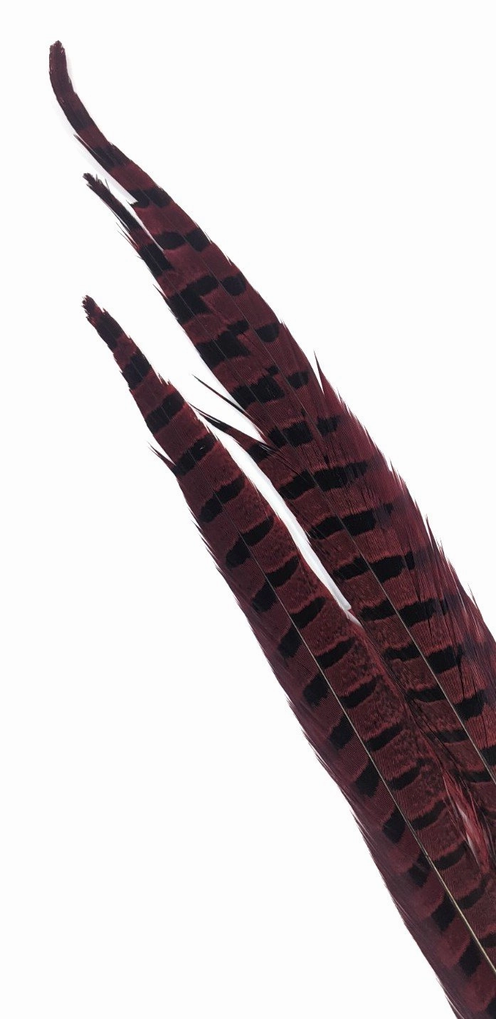 Nature's Spirit Ringneck Pheasant Side Tails - 3 tails - 12" to 14"