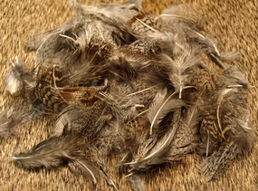 Nature's Spirit Select Partridge