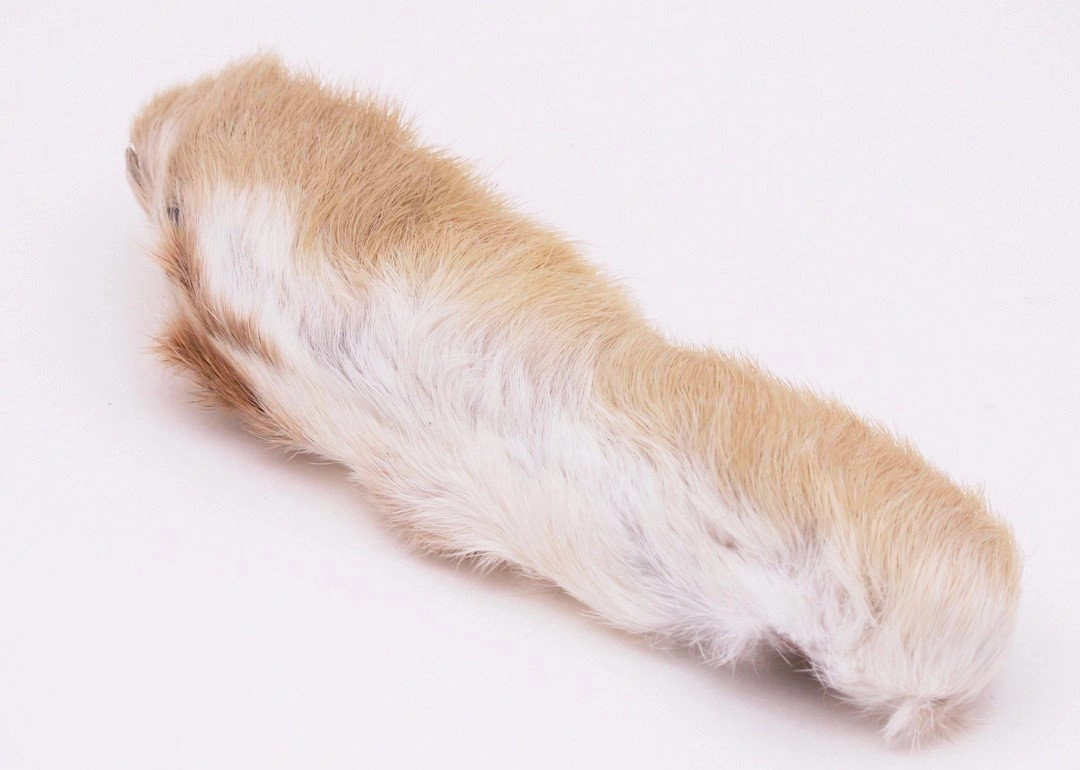 Nature's Spirit Snowshoe Rabbit Foot