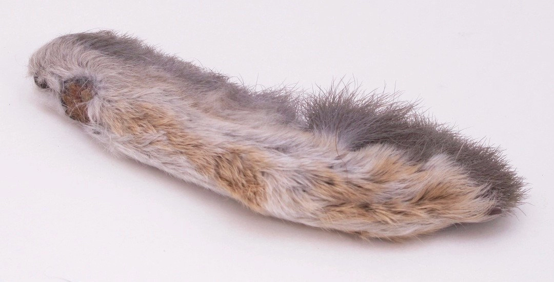 Nature's Spirit Snowshoe Rabbit Foot
