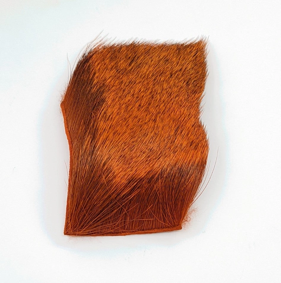Nature's Spirit Spinning Elk 3" X 4"