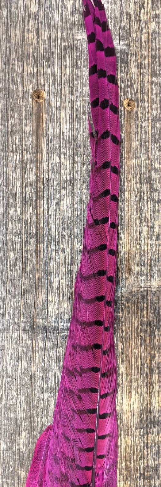 Nature's Sprit Ringneck Pheasant Tail Clump