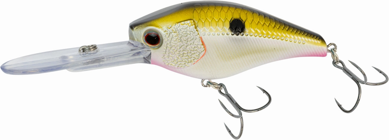 Nomad Design D-Trak Freshwater Extra Deep Diving Crankbait