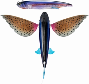 Nomad Design Slipstream 280 California Flying Fish