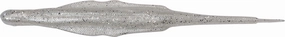 Nories 5.8 Inch Lady Balance Vibrating Jig Trailer - 6 Pack