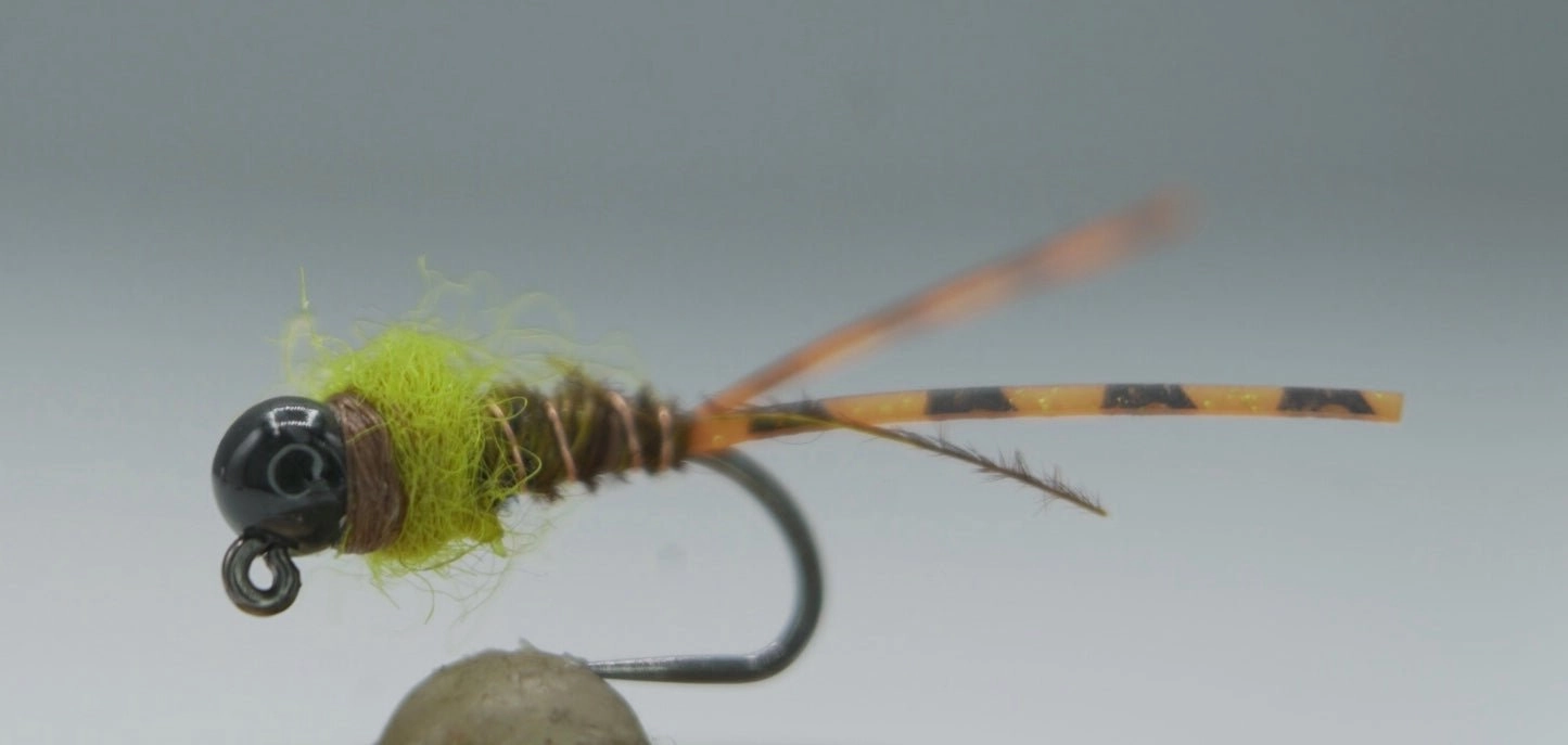 Nymph Fly Assortment