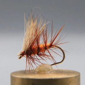 October Caddis Dry