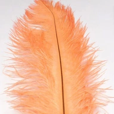 Ostrich Plume