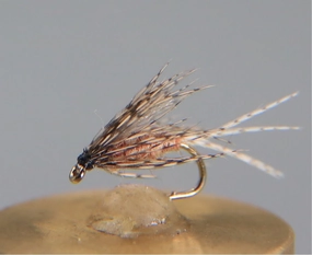 Pale Morning Dun Soft Hackle
