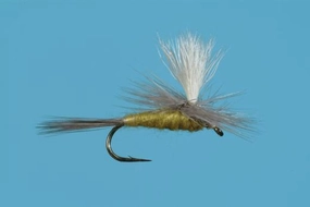 Parachute Pale Evening Dun