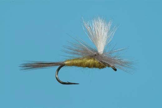 Parachute Pale Evening Dun