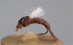 Pheasant Tail Emerger