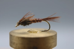 Pheasant Tail Nymph