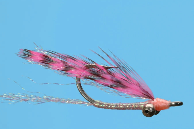 Pink Shrimp #6