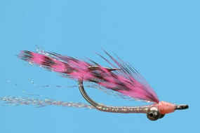 Pink Shrimp #6
