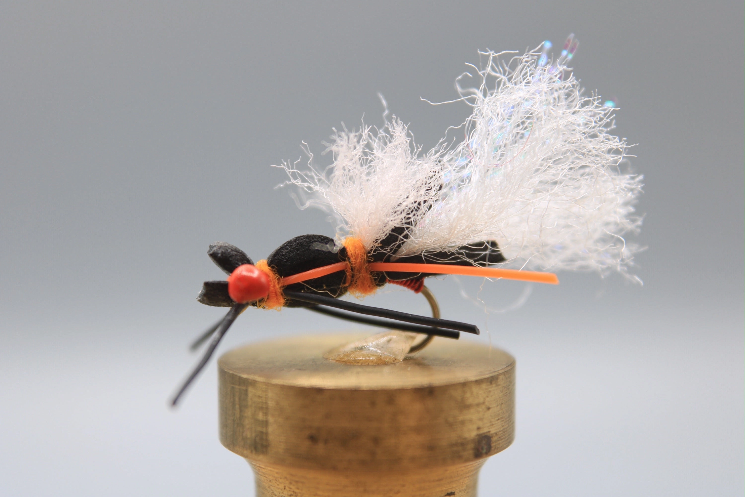 Pit Boss Cicada