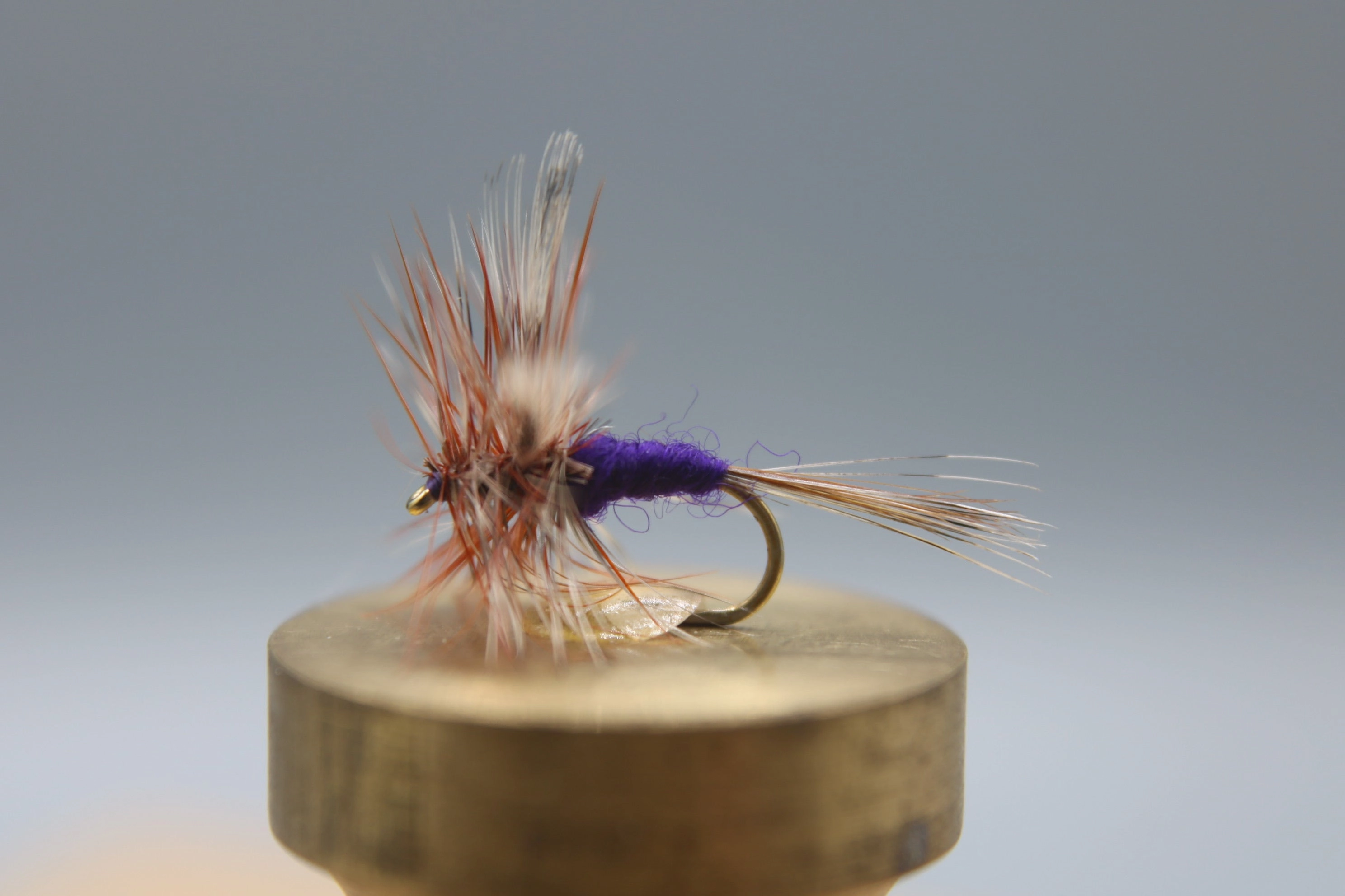 Purple Haze Dry