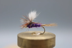 Purple Haze Parachute Dry