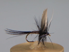 Quill Black Dry