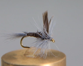 Quill Blue Dry