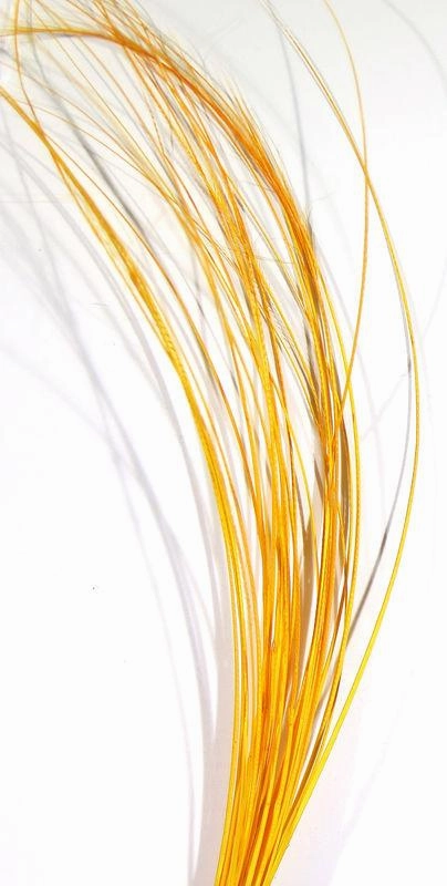 Quill Body