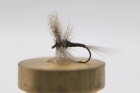 Quill Gordon Dry