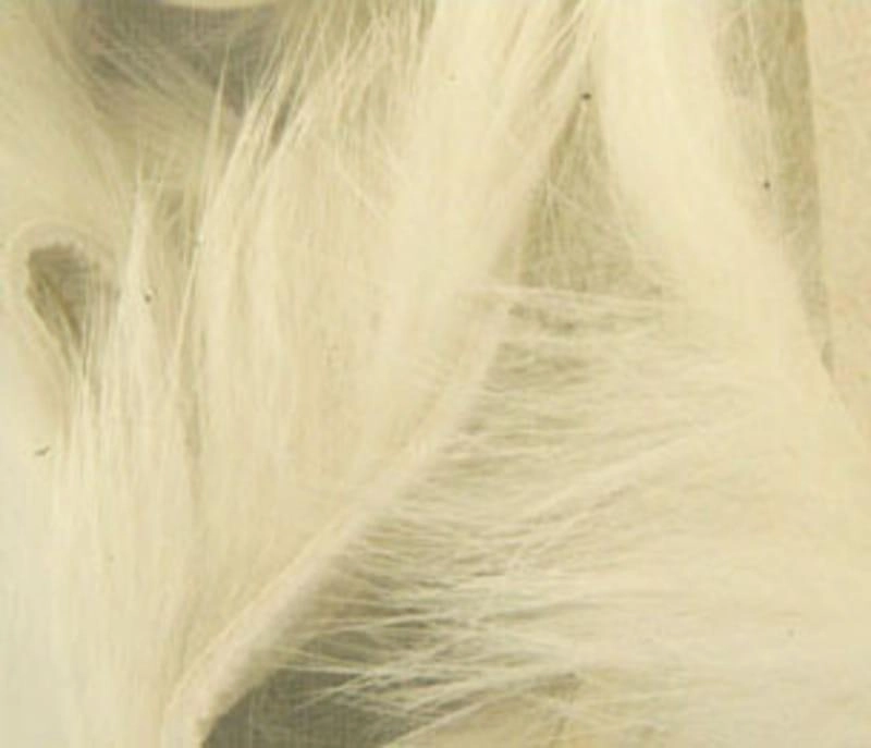 Rabbit Strips