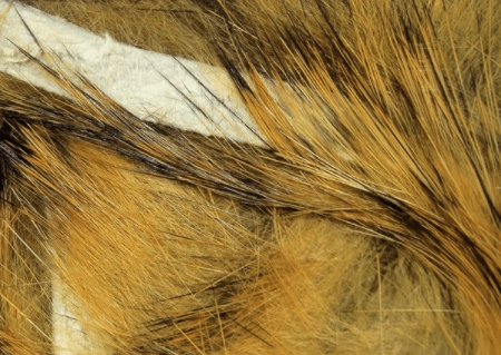Rabbit Strips