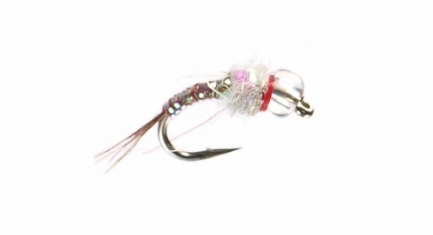 Rainbow Warrior