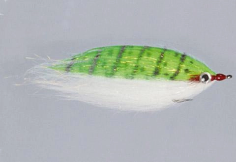 Rainy's CF Baitfish