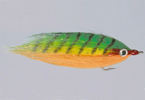 Rainy's CF Baitfish