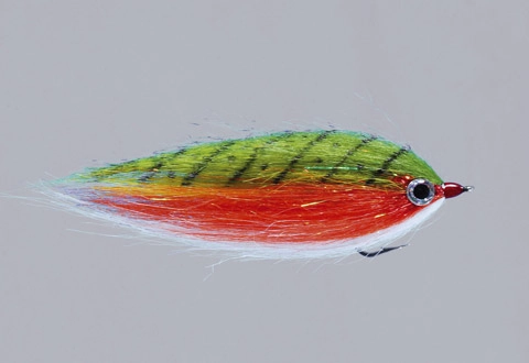 Rainy's CF Baitfish
