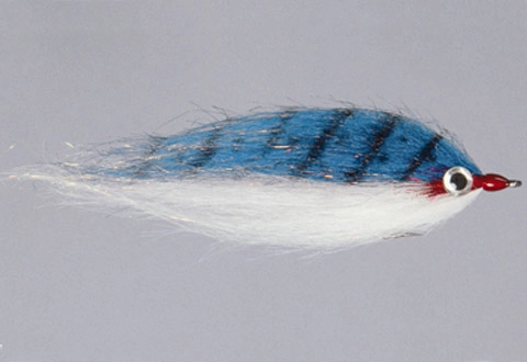 Rainy's CF Baitfish