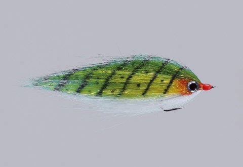 Rainy's CF Baitfish