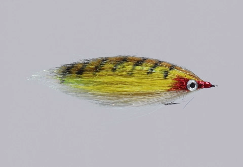 Rainy's CF Baitfish