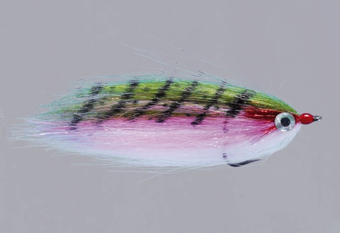 Rainy's CF Baitfish